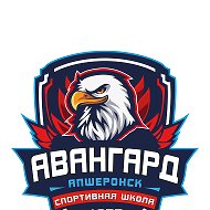 МКУ ДО СШ "Авангард" @id2325006263_gos
