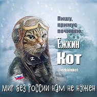 Ёжкин кот @ezhkinkot