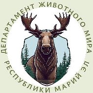 Департамент животного мира Республики Марий Эл @id1200008270_gos