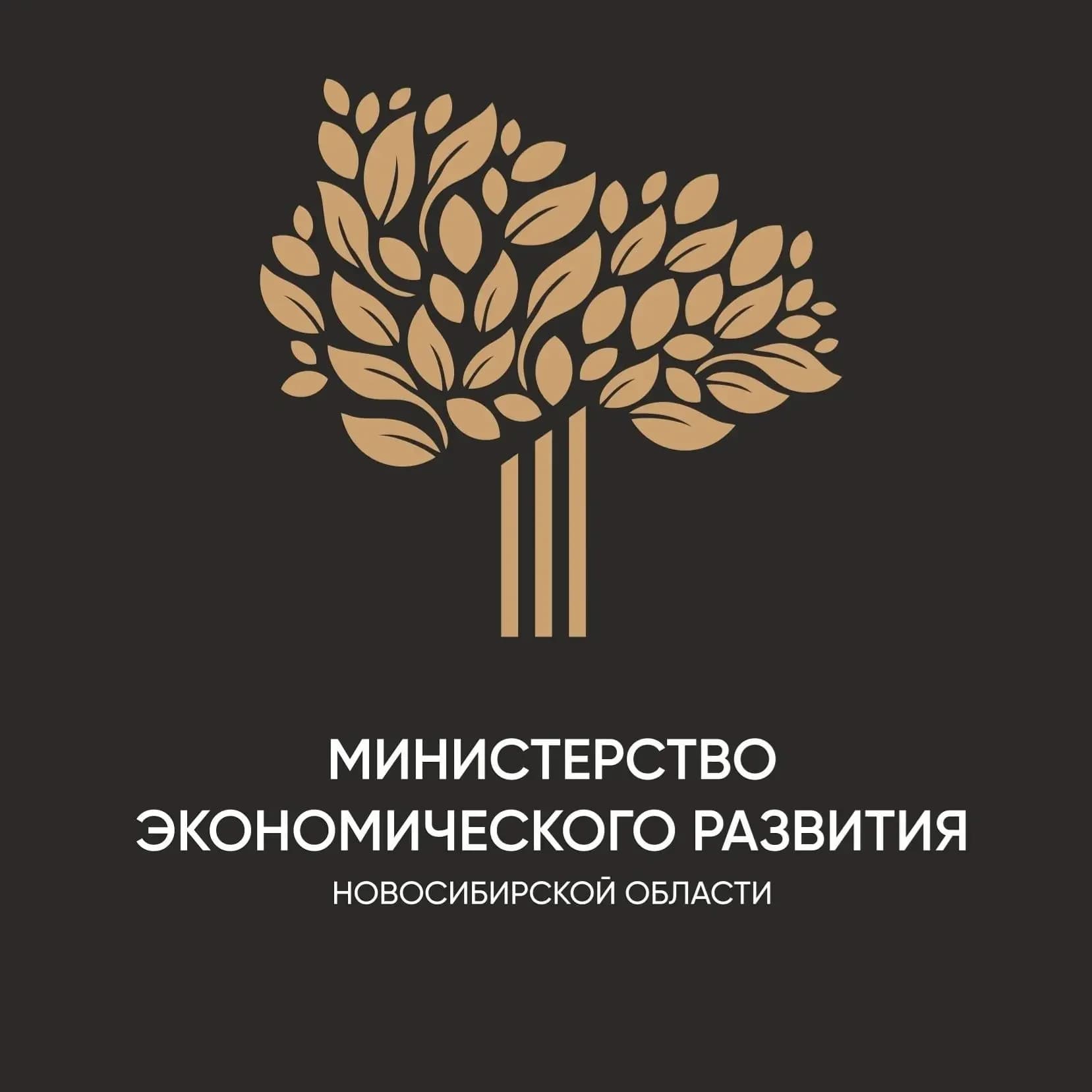 
Поддержка экономики НСО
