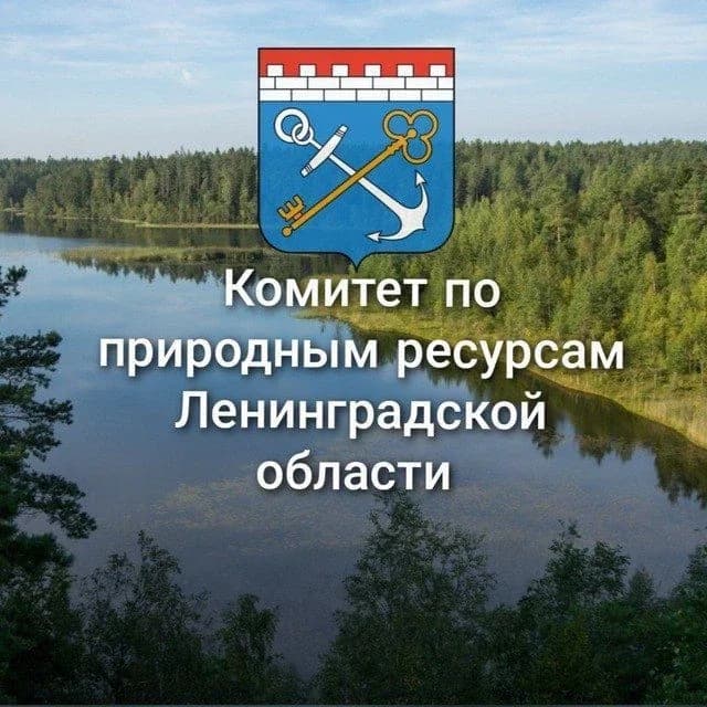 
Комитет по природным ресурсам Ленобласти
