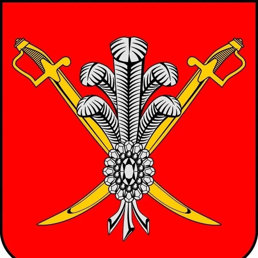 
Муниципальный Совет МО Коломяги
