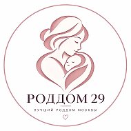 29 Роддом @Roddom29