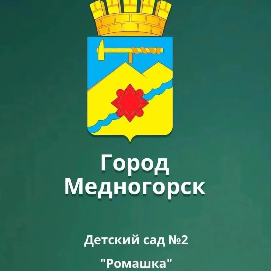 
МБДОУ "Детский сад № 2 "Ромашка" г.Медногорска"
