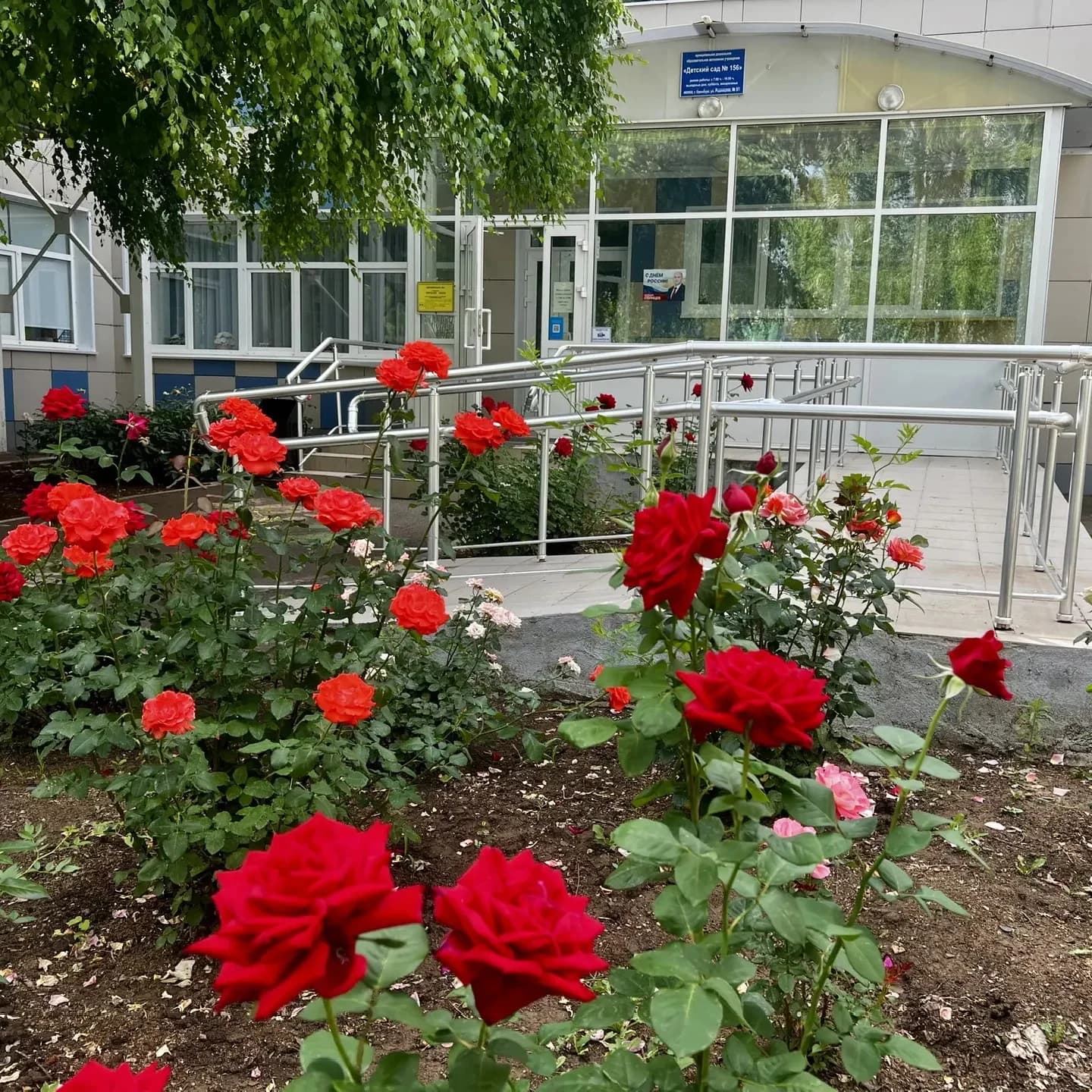 
Детский сад 156 Оренбург
