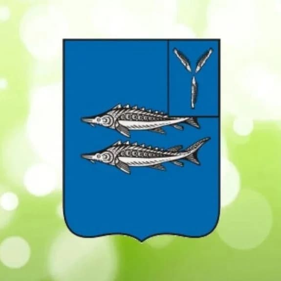 
Хвалынский район
