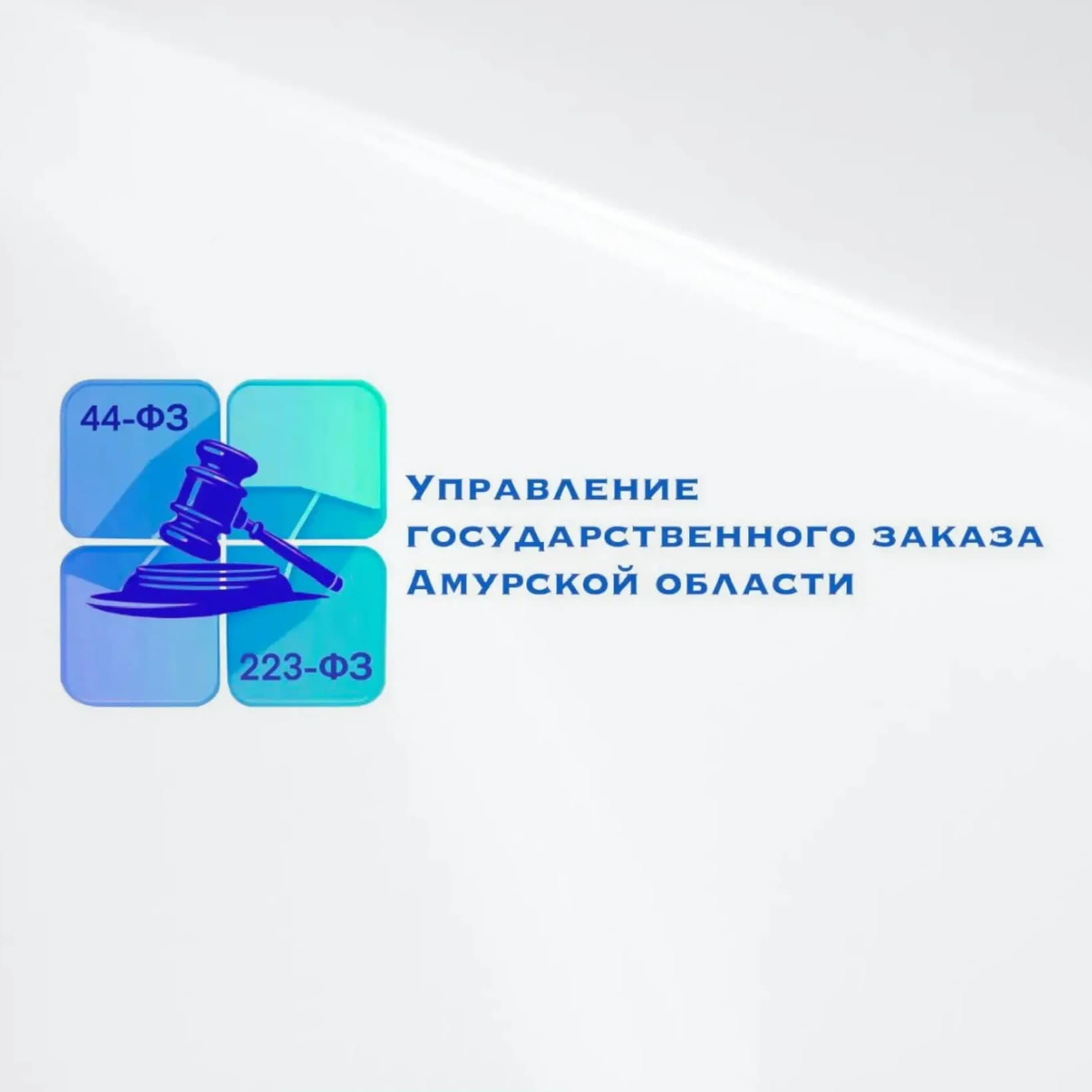 
Управление государственного заказа Амурской области
