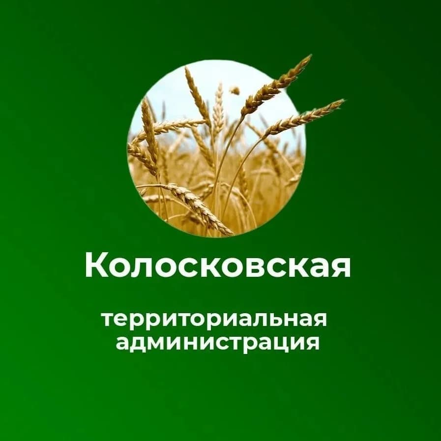 
КОЛОСКОВСКАЯ ТЕРРИТОРИАЛЬНАЯ АДМИНИСТРАЦИЯ
