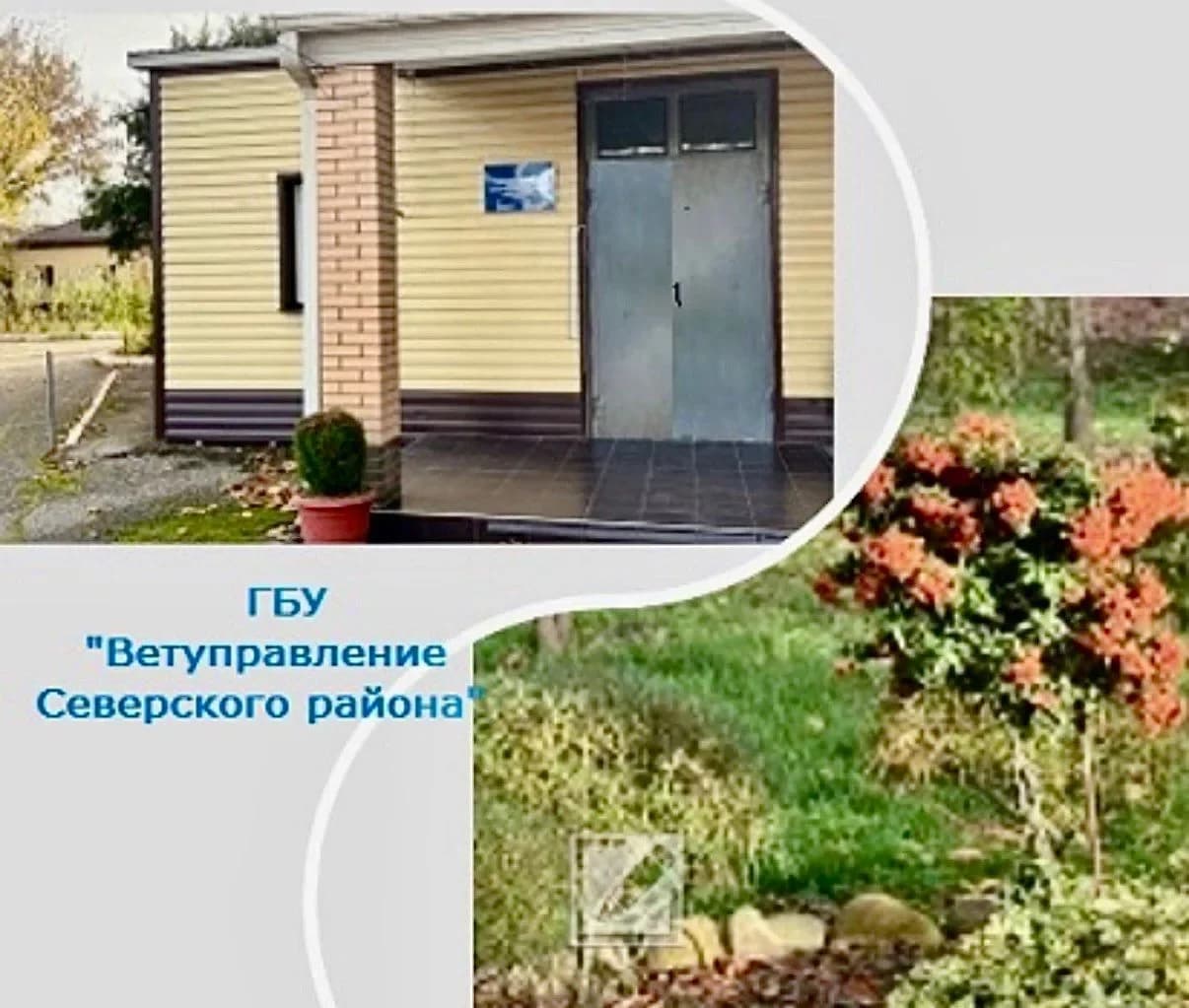 
ГБУ ВЕТУПРАВЛЕНИЕ Северского района
