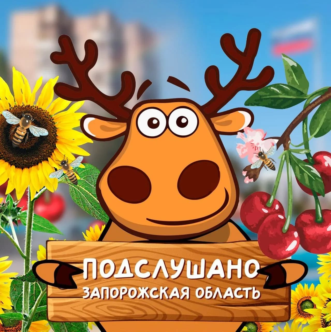 
Подслушано Запорожская область
