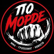 По морде @kemporu