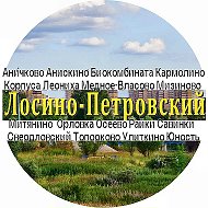 Аничково Лукино-Варино Биокомбинат Лосино-Петровский  Los @anichkovo