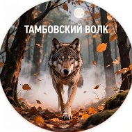 Тамбовский волк 🐺 @tebe_tovarish