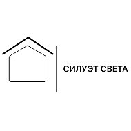 Силуэт Света @club222729315