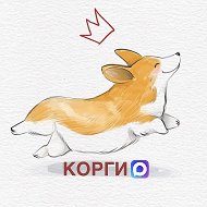 Корги @korgimax