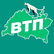 ВТП | В Татарстане Поймут @vkazani