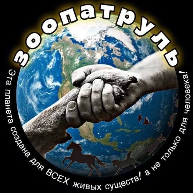 
ЗООПАТРУЛЬ-НН (группа помощи бездомным животным)
