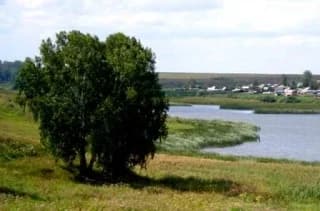 
МКУК "Шибковский центр досуга"
