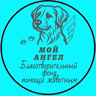 БФ"Мой Ангел"- помощь животным @moiangel24