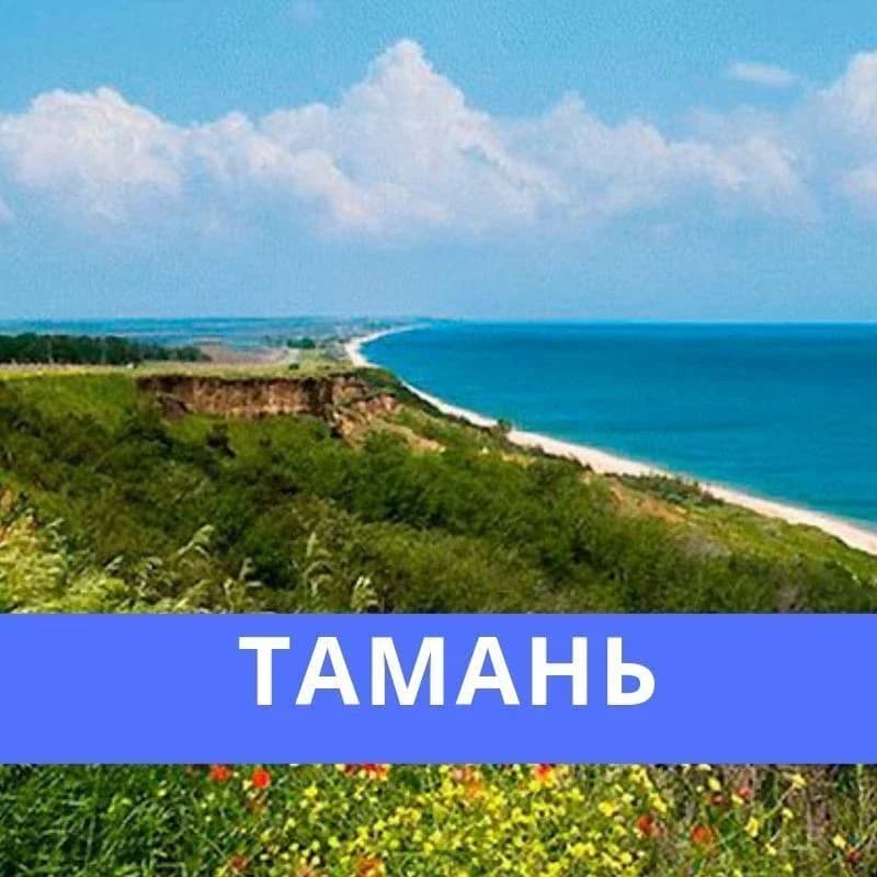 
МБУ "Тамань - Благоустройство"
