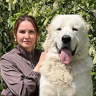 Питомник ТИМЕРТАШ среднеазиатская овчарка алабай @timertash