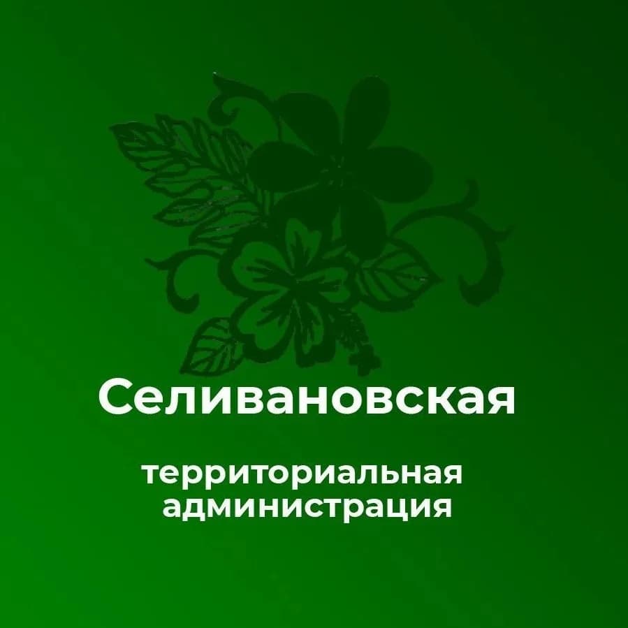 
Селивановская территориальная администрация
