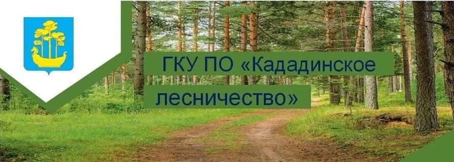 
ГКУ ПО "Кададинское лесничество"
