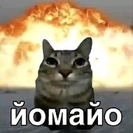тест3 @sdfsdfsdfsdf