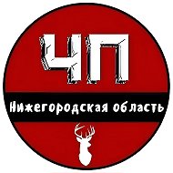 ЧП Нижний Новгород и Нижегородская область @nn_obl