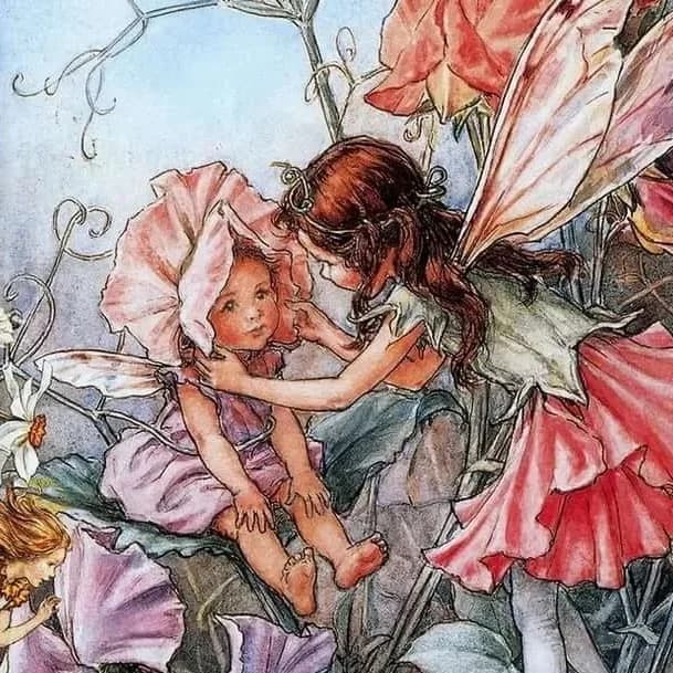 
Fairyopolis.Красивые книги. Книжный магазин

