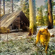 Охотники и рыболовы | Таёжная романтика ® @ohotav