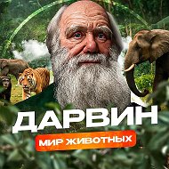 Дарвин|Мир животных @darvin_animals