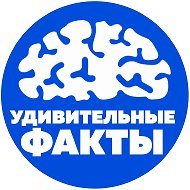Наука | Удивительные Факты @factsinworld