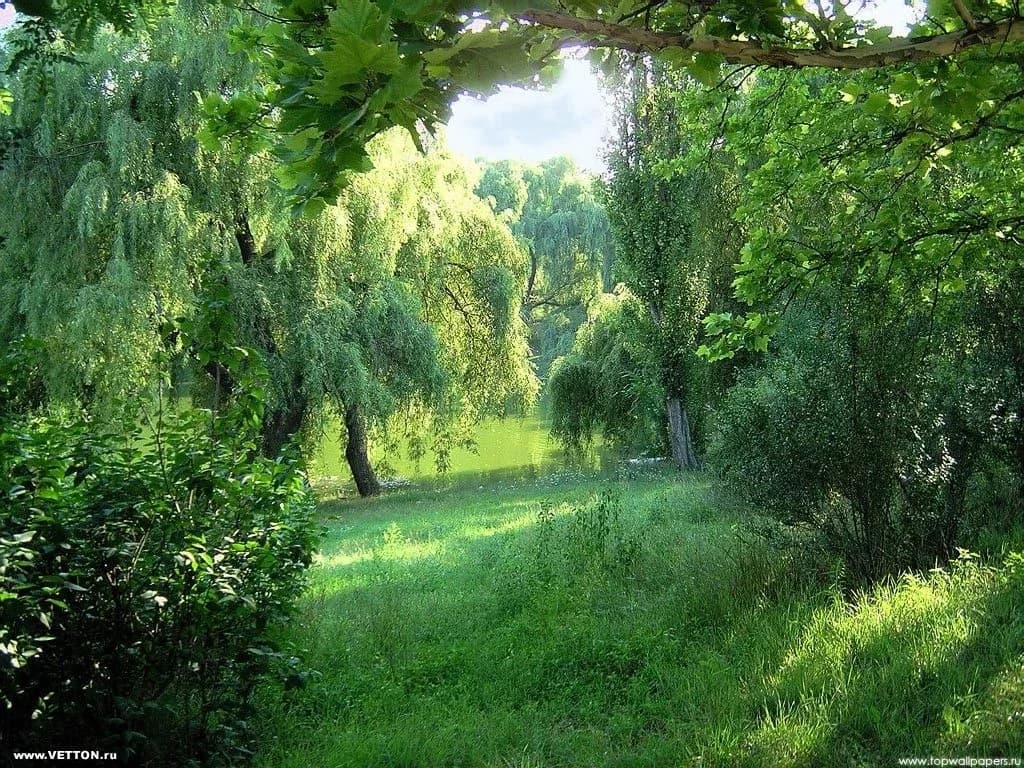 
Управление лесами Орловской области
