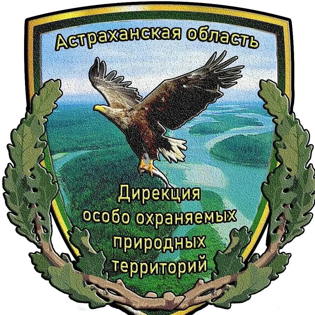 
Дирекция северных ООПТ- сохраним природу вместе
