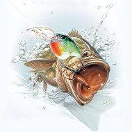 Рыбалка в Иваново @ivfish