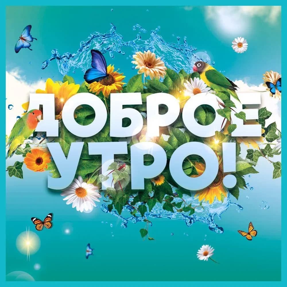 
Тележка с открытками. Открытки и поздравления. Доброе утро! С Днём рождения! Спокойной ночи! Настроение. 7 декабря День памяти святой Екатерины. С Днём гражданской авиации! С именинами, Екатерина!
