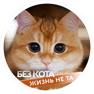 Без кота жизнь не та @kotik_life
