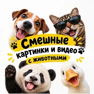 Пушистый юмор / юмор про животных @mnogo_vykroek