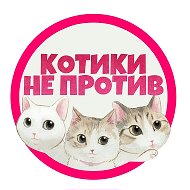 Котики не против @kotikineprotiv