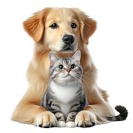 Забавные Животные @funnyanimalsclips