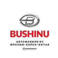 BUSHINUAUTO @BUSHINUAUTO