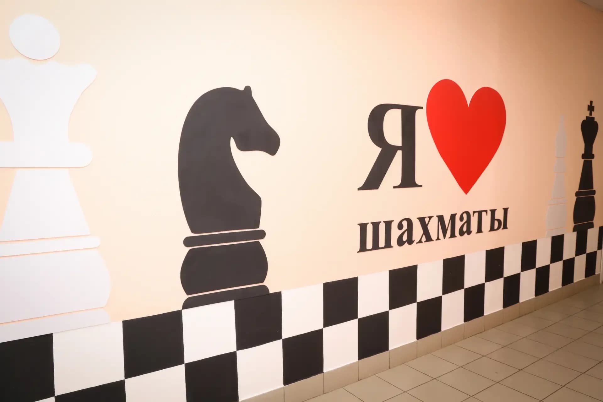 
Шахматы и шашки в городе Нижний Тагил
