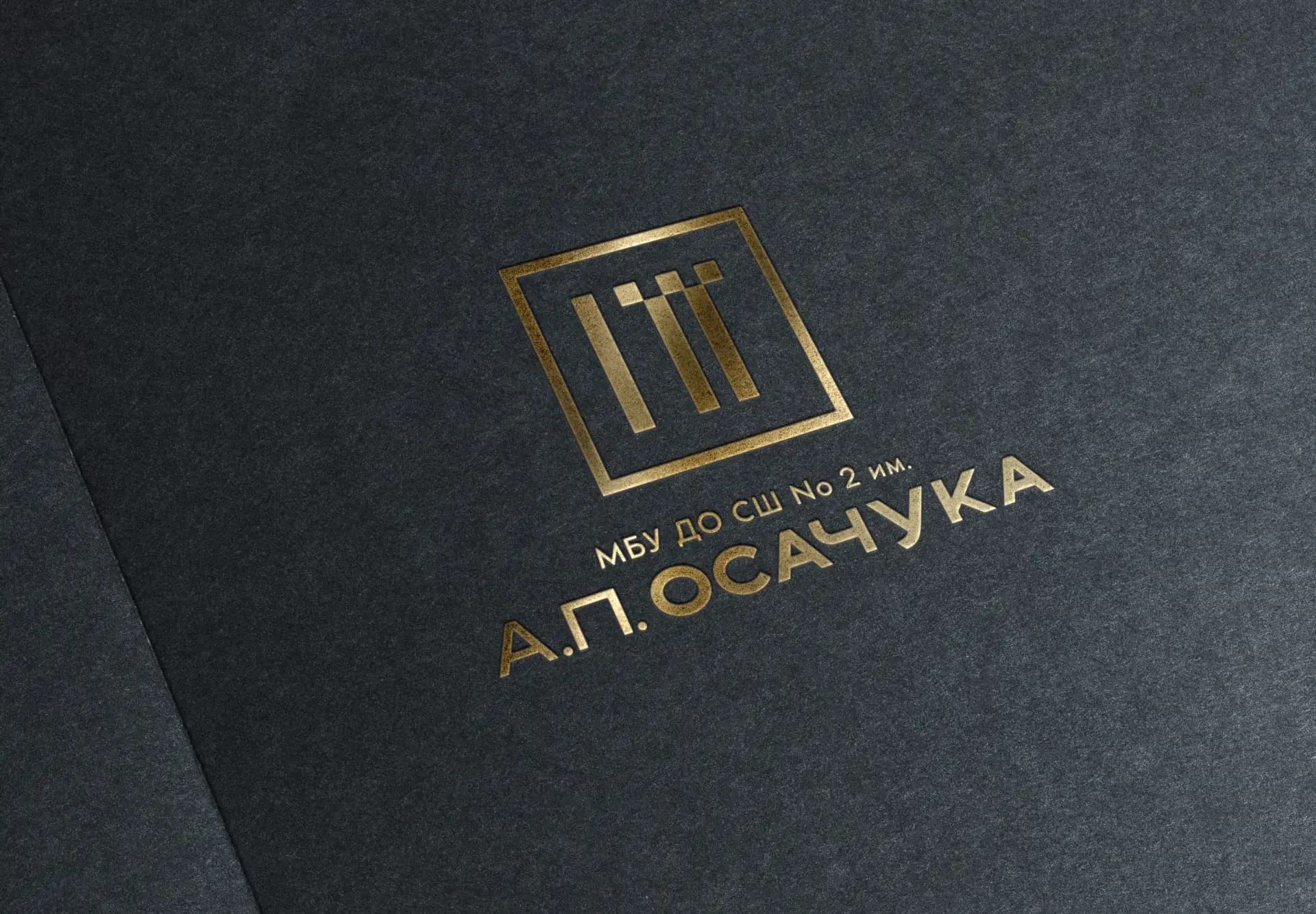 
МБУ ДО СШ № 2 ИМ.А.П.ОСАЧУКА

