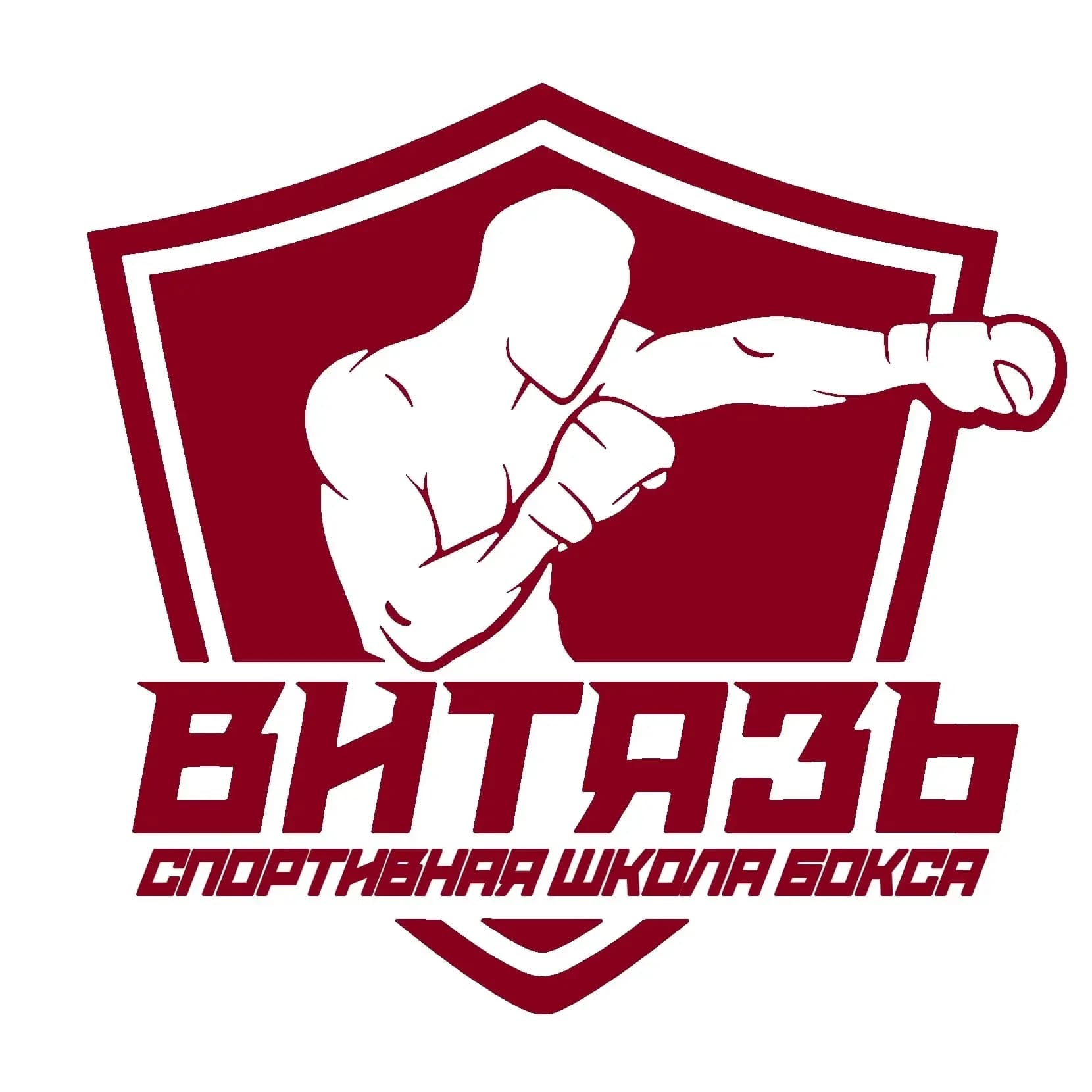 
Спортивная школа бокса «Витязь» города Каменска-Уральского
