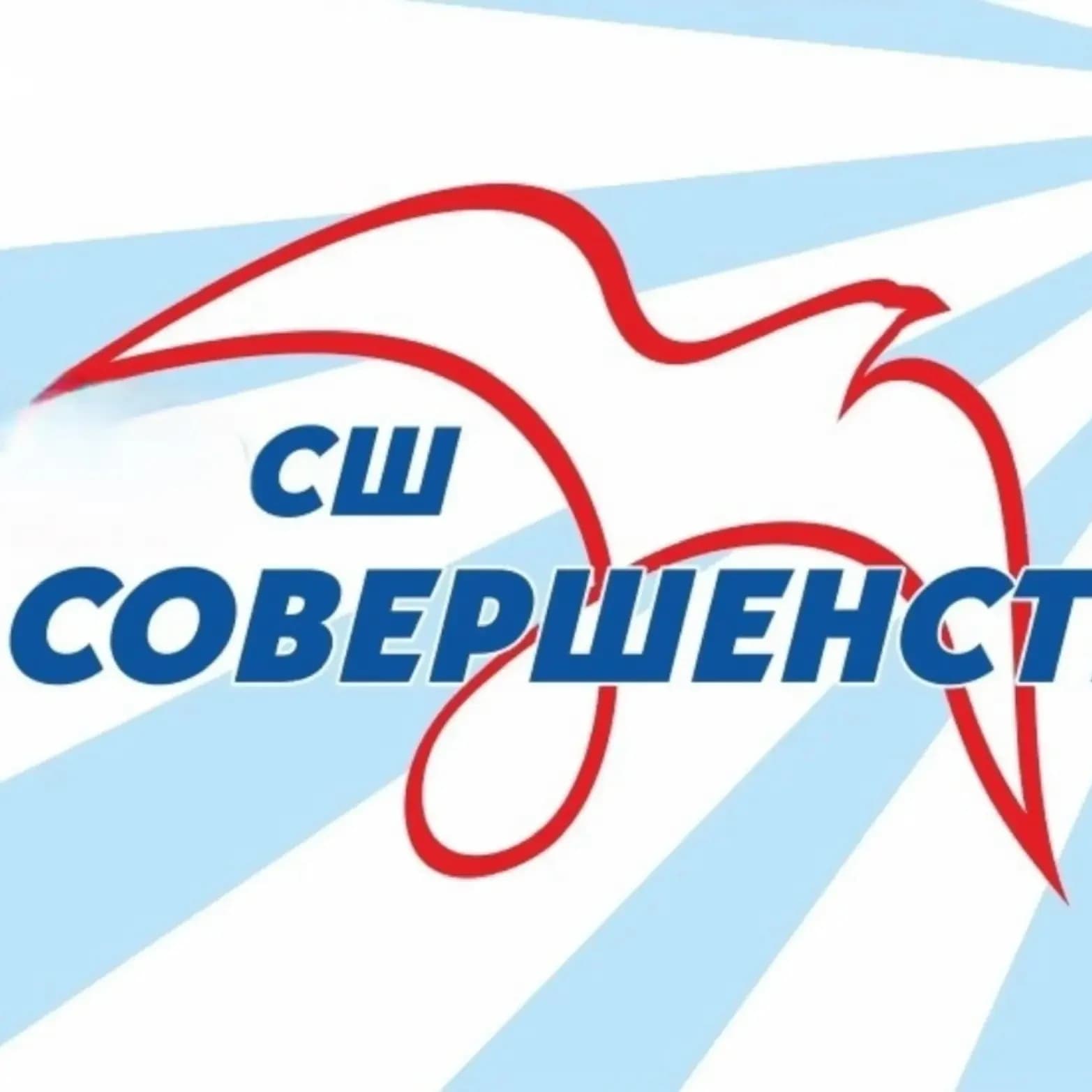 
МБУ ДО СШ «Совершенство»
