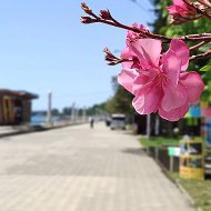 Abkhazia Open / Открытая Абхазия @abkhazia_open