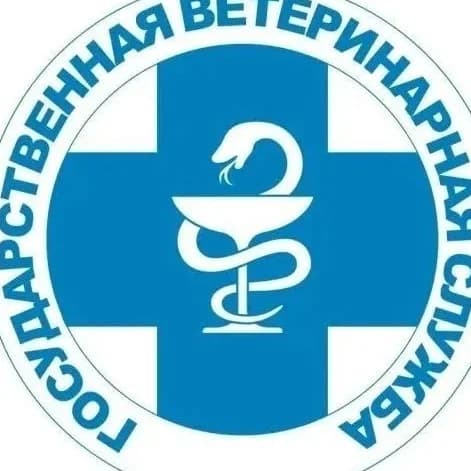 
ГБУ ХО "СББЖ Новотроицкого муниципального округа"
