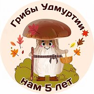 Грибы Удмуртии | Даниил Моисеев @mushrooms_udmurtia18
