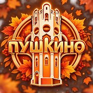 Пушкино Live @pushkino